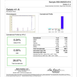 Flower Gelato 41 / G41
