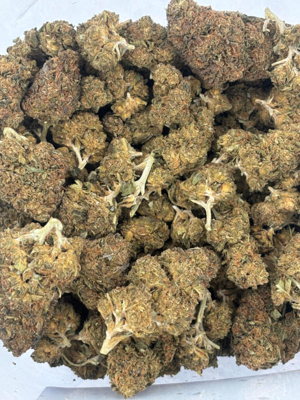 Modified Grapes THCA Flower Indica Dominant Hybrid - Image 3