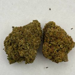 Gelato Punch THCA Flower Indica Hybrid