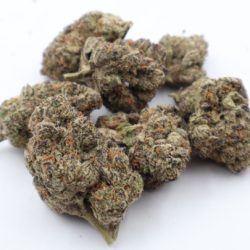 Permanent Marker THCA Flower