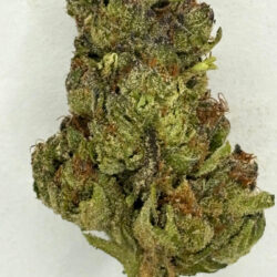 Berry Blender Sativa Dominant THCA Flower