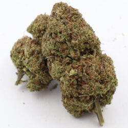 Bigg Buddah Cheese Indica Dominant THCA Flower