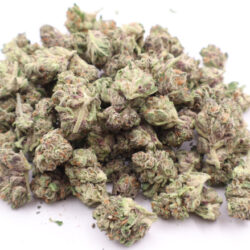 Blue Mamba B Buds THCA Flower Balanced Hybrid