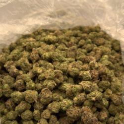 Captain Crunch B Buds THCA Flower Hybrid Indica leaning