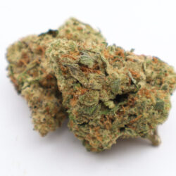 Double Runtz Indica Dominant THCA Flower