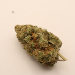 Gas Face Indica Dominant THCA Flower