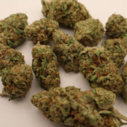 Gas Face Indica Dominant THCA Flower