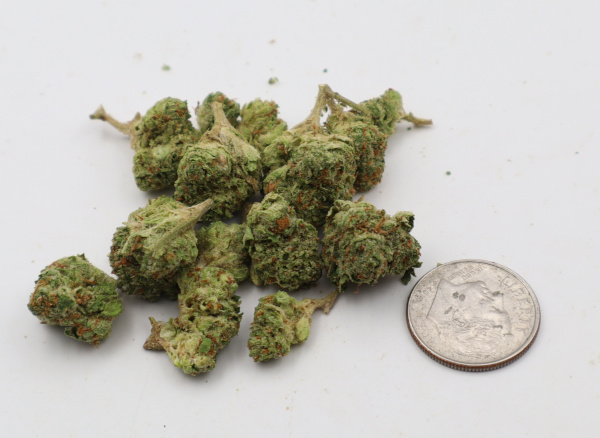 Ghost Train Sativa Dominant THCA Flower B buds