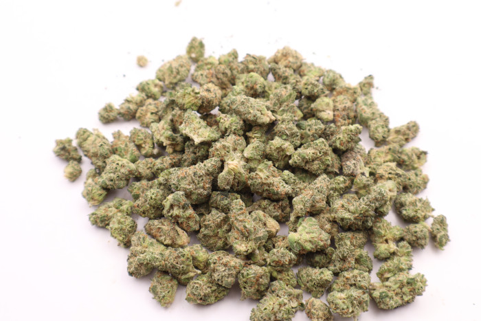 Government oasis Hybrid B buds THCA Flower - Image 2