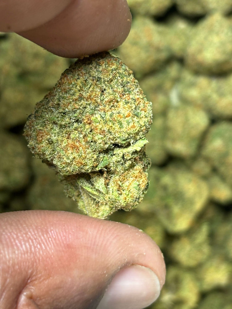 Illemonati THCA Flower Sativa Hybrid