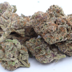 Kandy Kane Indica Dominant Hybrid THCA Flower