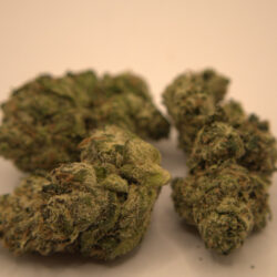 Key Lime Sativa 50/50 THCA Flower