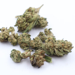 Lemon Kush Indica dominant Hybrid B buds THCA Flower