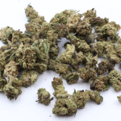 Lemon Kush Indica dominant Hybrid B buds THCA Flower