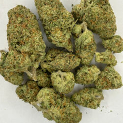 Papaya Punch THCA Flower Indica Dominant