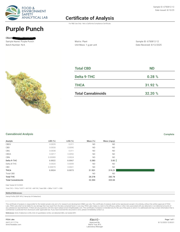 Purple Punch Indica dominant B buds THCA Flower - Image 3
