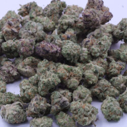 Snow Cone Sativa Dominant B buds Flower