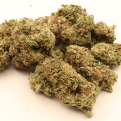 White Walker Indica Dominant Hybrid THCA Flower
