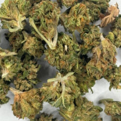 Banana Cake THCA Flower balanced hybrid B buds