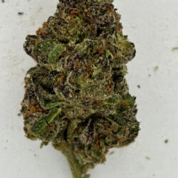 Blue Dream THCA Flower Sativa Dominant