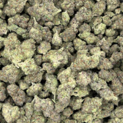 Blue Dream THCA Flower Sativa Dominant