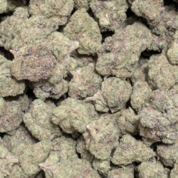 Captain Crunch (Crunch Berries) Indica Dominant