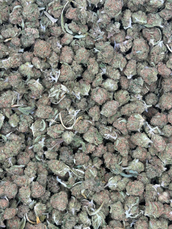 Gelato 41 THCA Flower Indica dominant Hybrid B buds - Image 3