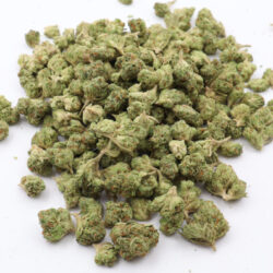 Ghost Train Sativa Dominant THCA Flower B buds