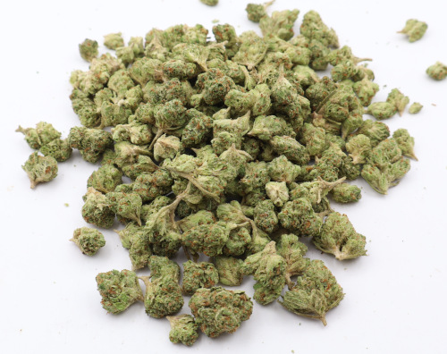 Ghost Train Sativa Dominant THCA Flower B buds - Image 2