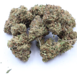 Grapefruit Diesel Sativa Dominant Hybrid THCA Flower