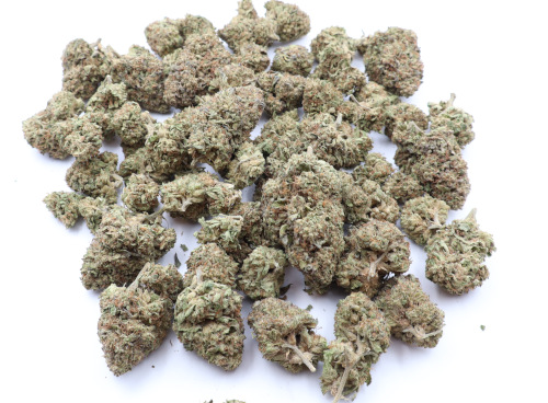 Grapefruit Diesel Sativa Dominant Hybrid THCA Flower - Image 3