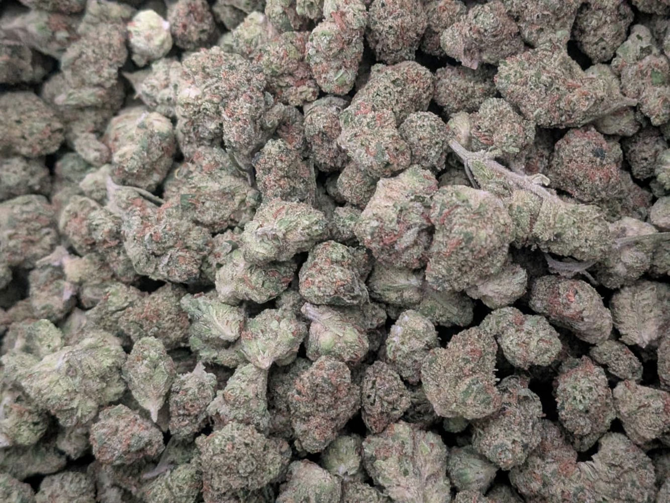 Heavy OG THCA Hemp Flower – Indica Dominant B Buds