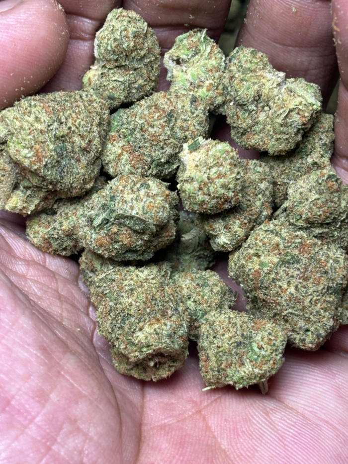 Illemonati THCA Flower Sativa Hybrid - Image 3