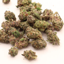Jet Fuel Gelato Hybrid b buds THCA Flower