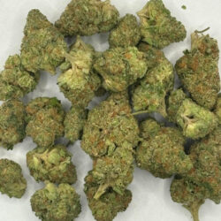 Jungle Juice Sativa Dominant THCA Flower