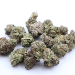 King Louie Indica Dominant THCA Flower