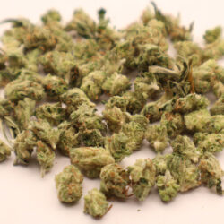 Pave Khalifa Indica Leaning Hybrid Micro Buds THCA Flower