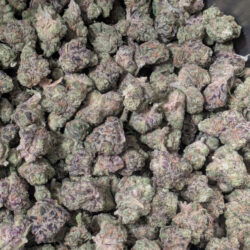 Pink Runtz Balanced Hybrid B Buds