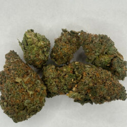Purple Kush Indica Dominant THCA Flower