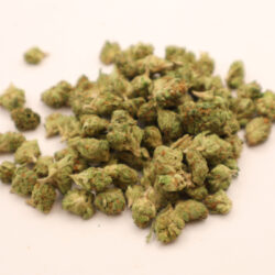Purple Punch Indica dominant B buds THCA Flower