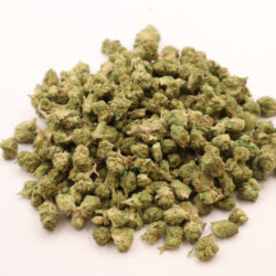 Purple Punch Indica dominant B buds THCA Flower
