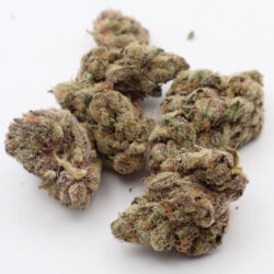 Purple Sizzurp Indica Dominant THCA Flower