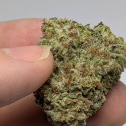 Residual Sugar THCA Flower Indica Dominant