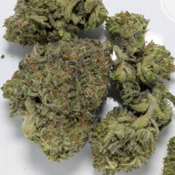 Residual Sugar THCA Flower Indica Dominant