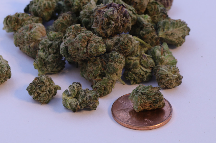 Reeses Pieces B buds THCA Flower Indica - Image 3