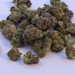 Reeses Pieces B buds THCA Flower Indica