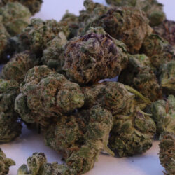 Reeses Pieces B buds THCA Flower Indica