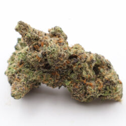 Son Of Mac Balanced Hybrid THCA Flower