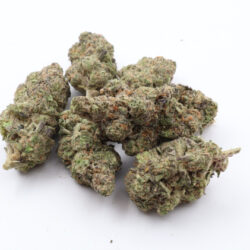 Son Of Mac Balanced Hybrid THCA Flower