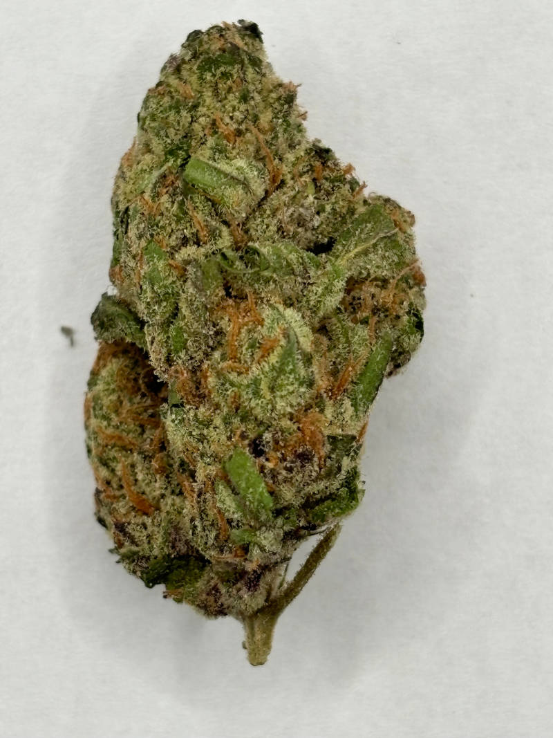 Unicorn Piss 50/50 Balanced THCA Flower